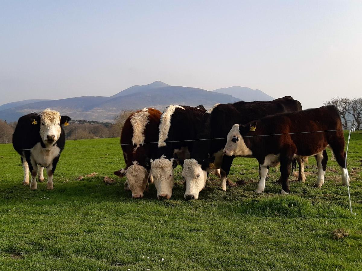 Inveraray Farm Beaufort Dış mekan fotoğraf