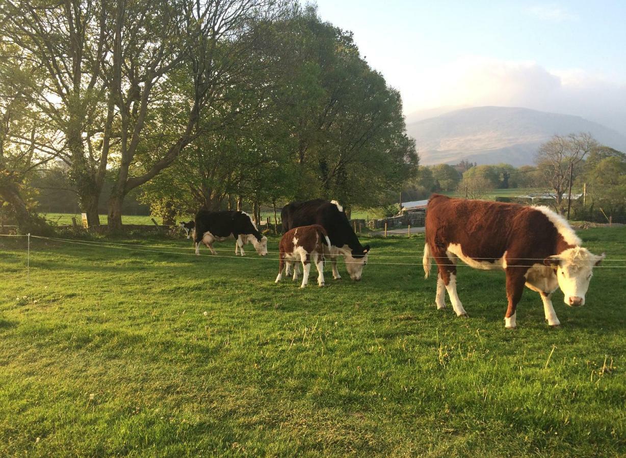 Inveraray Farm Beaufort Dış mekan fotoğraf